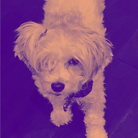 About me Photos🥳🥳❌❌ - Picture 11 of 14